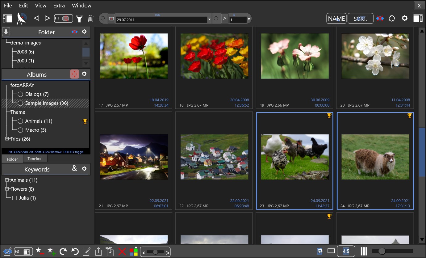 Image array - grid view
